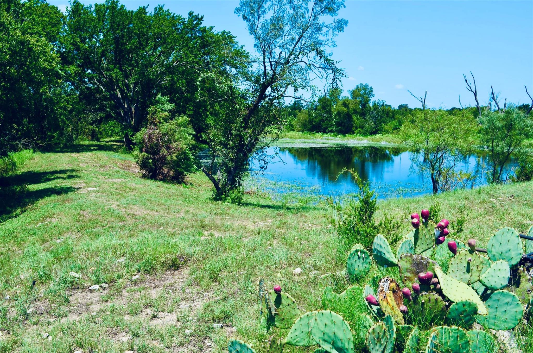 8060 County Road 210 Rd, Bertram, TX 78605