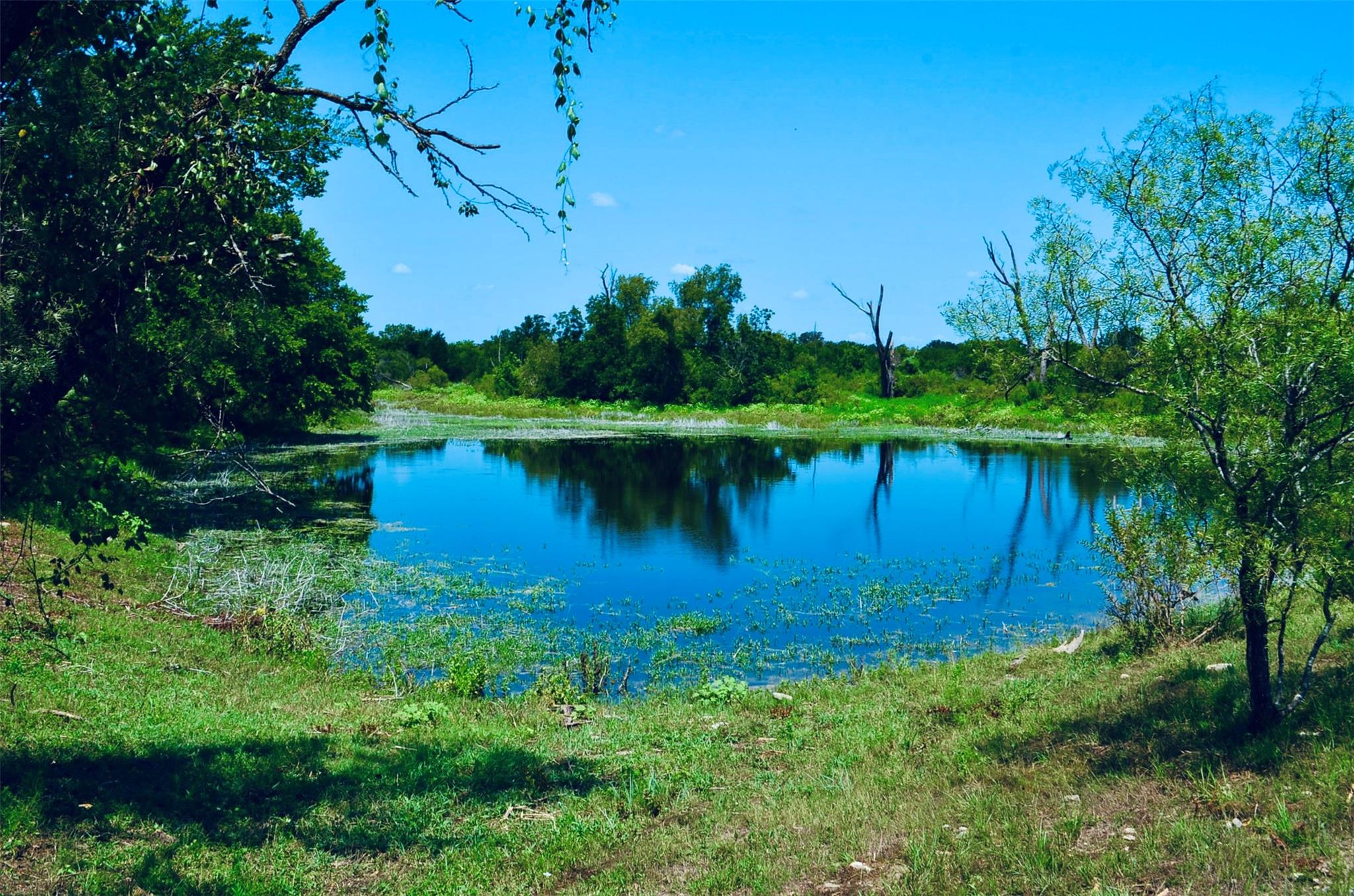 8060 County Road 210 Rd, Bertram, TX 78605