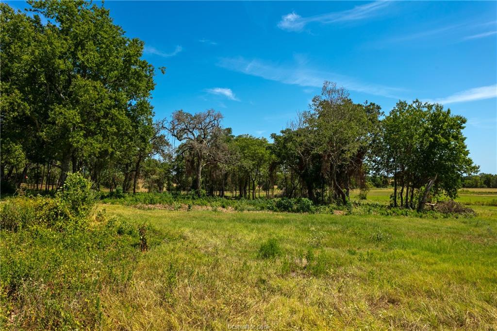 TBD(+/- 28.63 Acres) FM 166, Caldwell, TX 77836