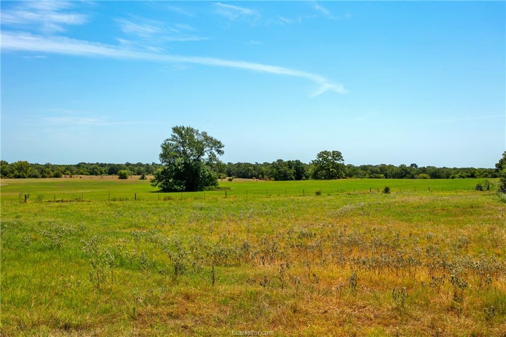 TBD(+/- 28.63 Acres) FM 166, Caldwell, TX 77836