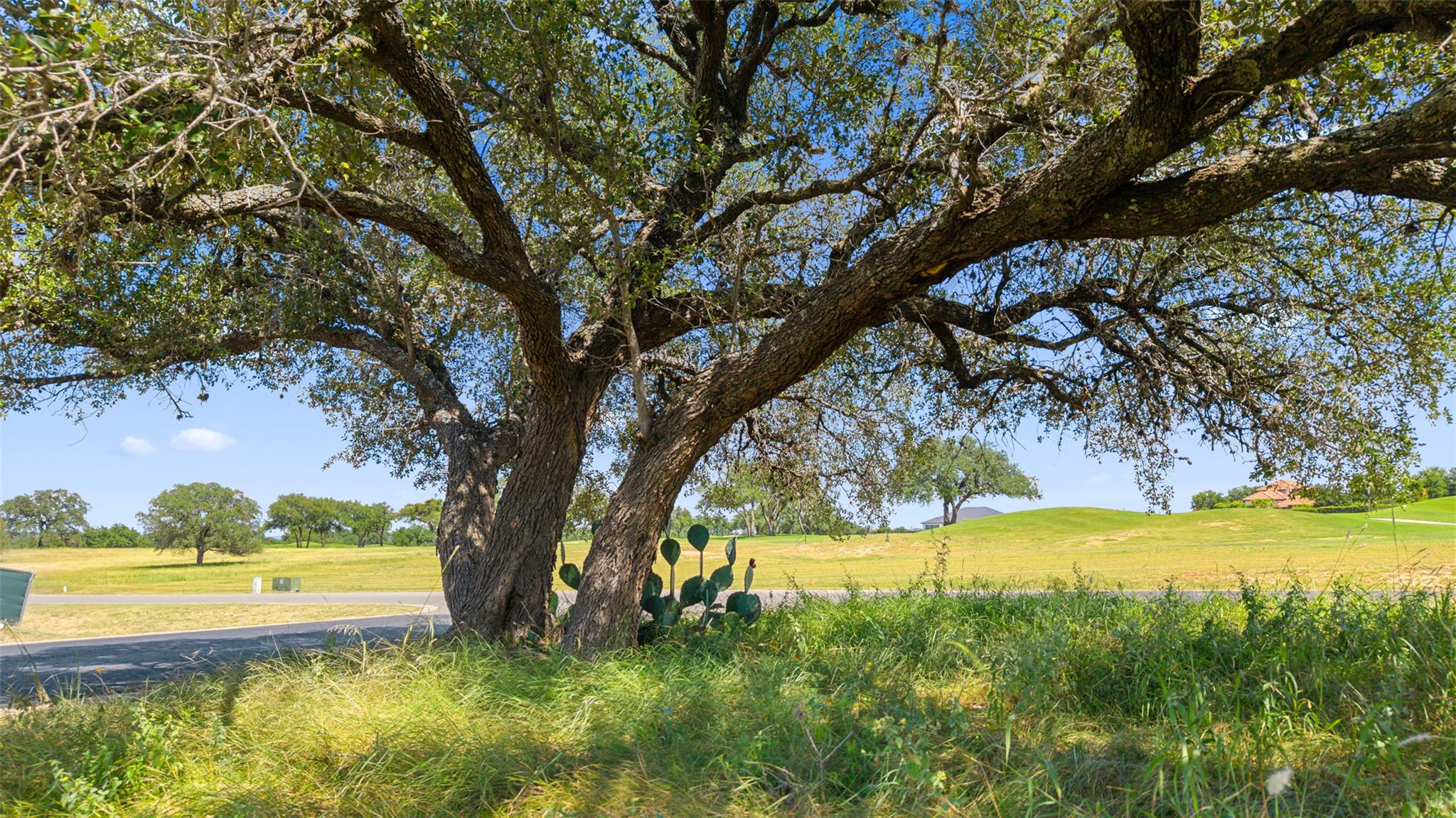 25801 Cliff Cv, Spicewood, TX 78669