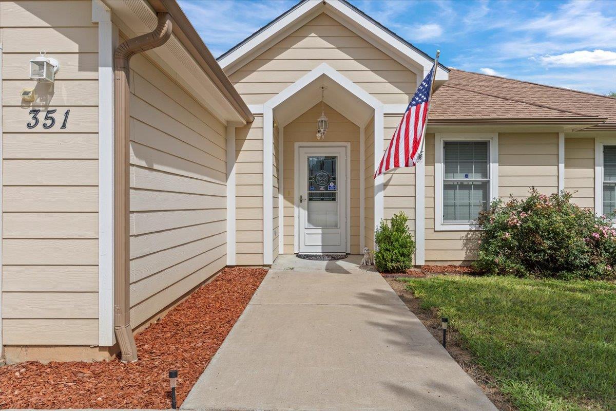 351 Cardinal Dr, Paige, TX 78659