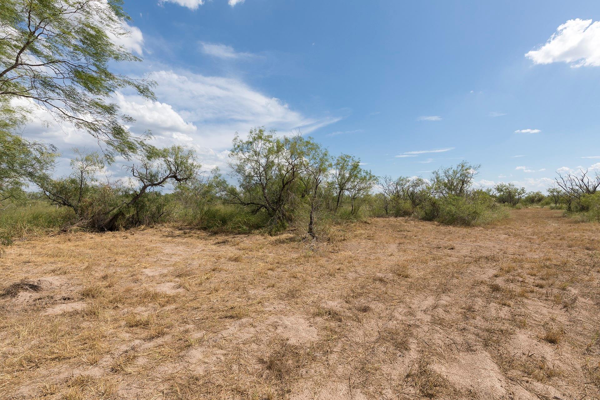 652 CR 307, Encino, TX 78353