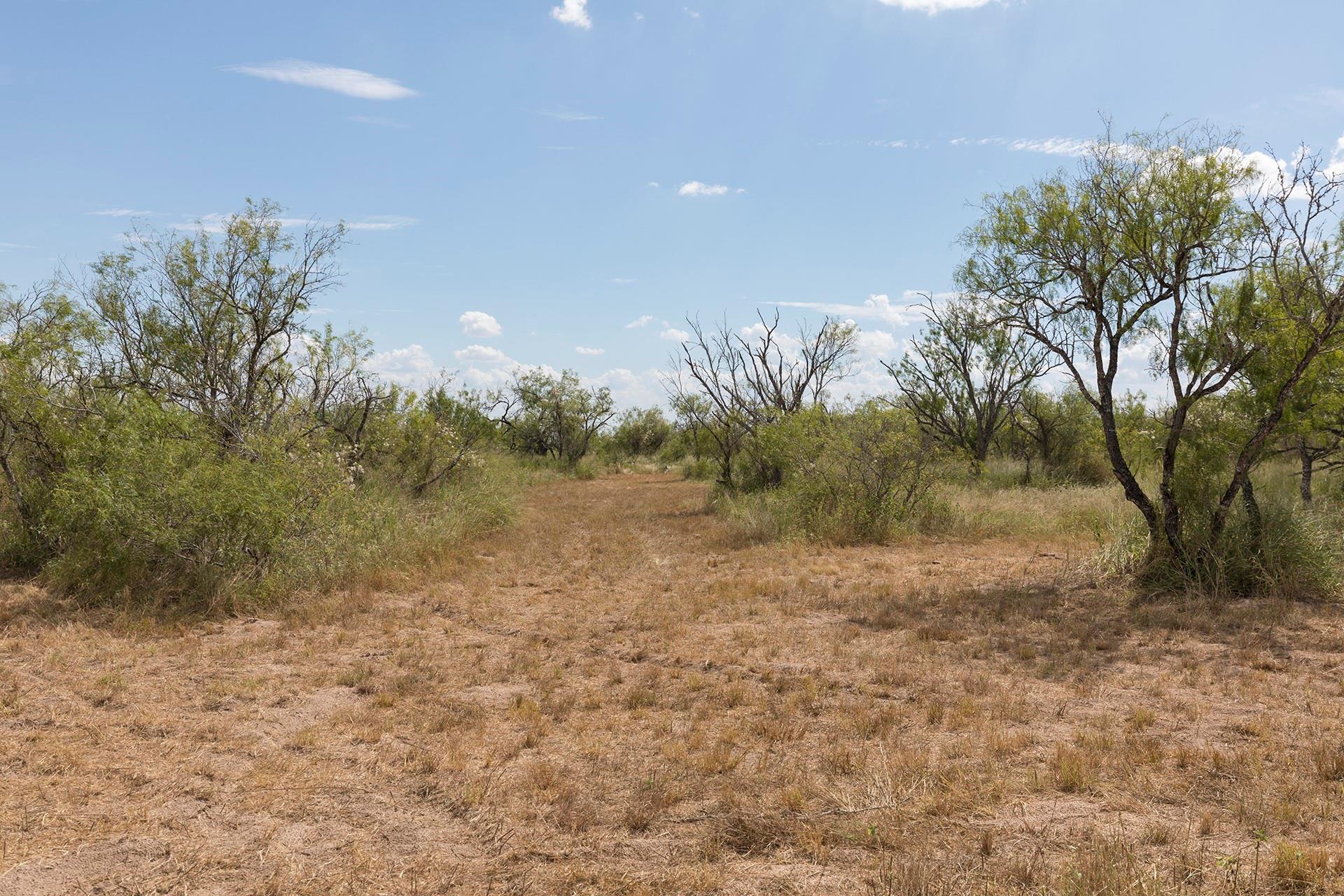 652 CR 307, Encino, TX 78353