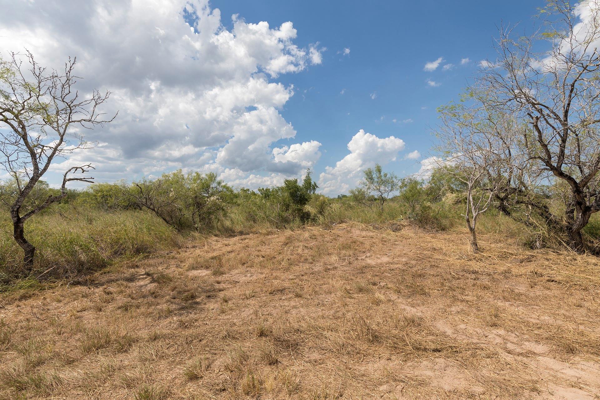 652 CR 307, Encino, TX 78353