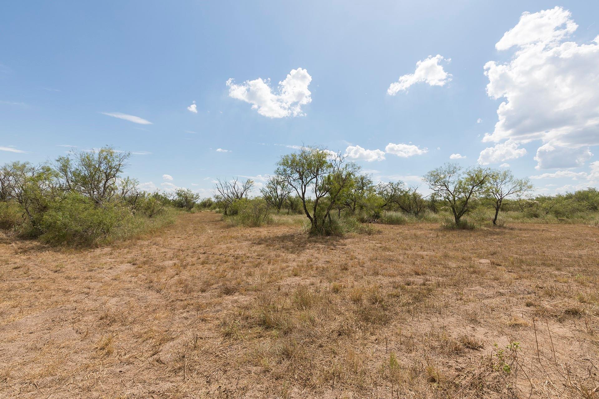 652 CR 307, Encino, TX 78353