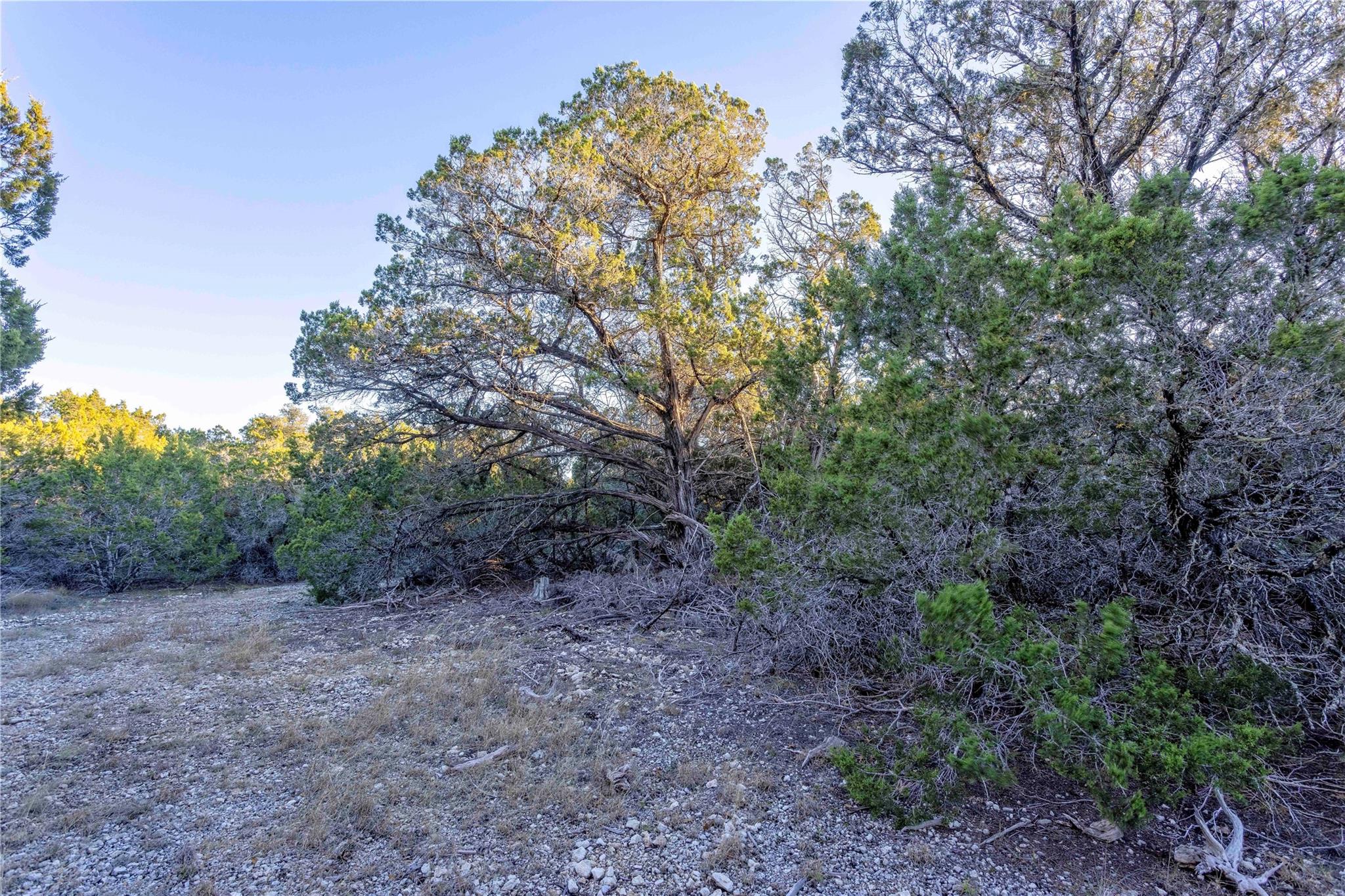 Lot 1 County Road 108, Burnet, TX 78611