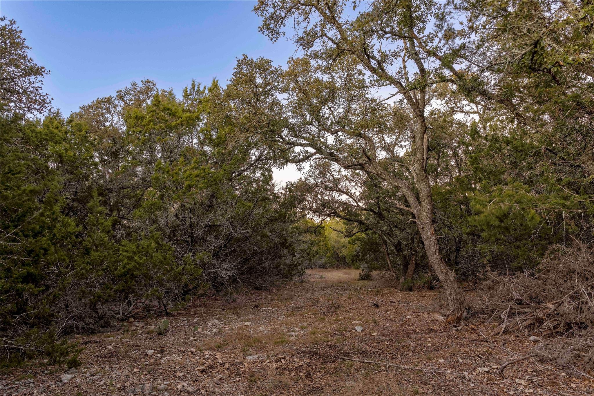 Lot 1 County Road 108, Burnet, TX 78611