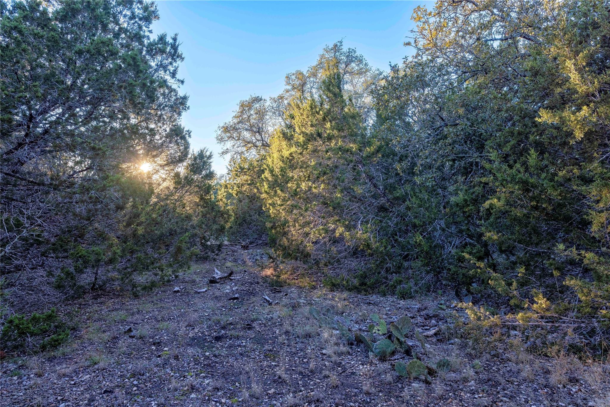 Lot 1 County Road 108, Burnet, TX 78611