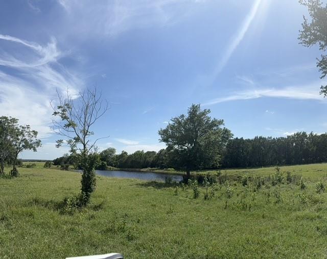 TBD W 29 Highway, Bertram, TX 78605