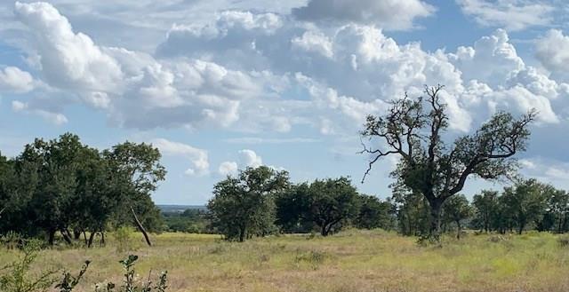 TBD W 29 Highway, Bertram, TX 78605