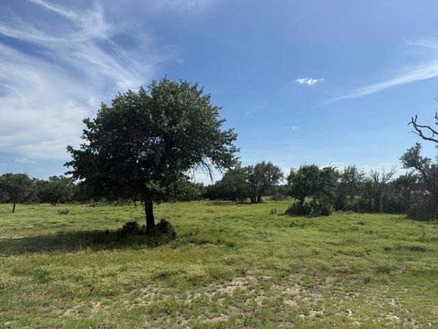 TBD W 29 Highway, Bertram, TX 78605