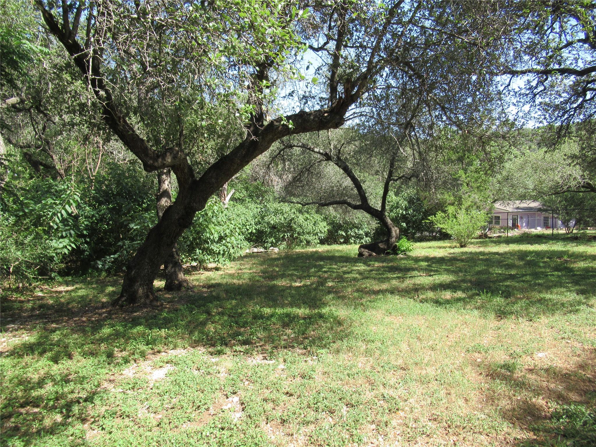 17801 Lafayette Park Rd, Jonestown, TX 78645