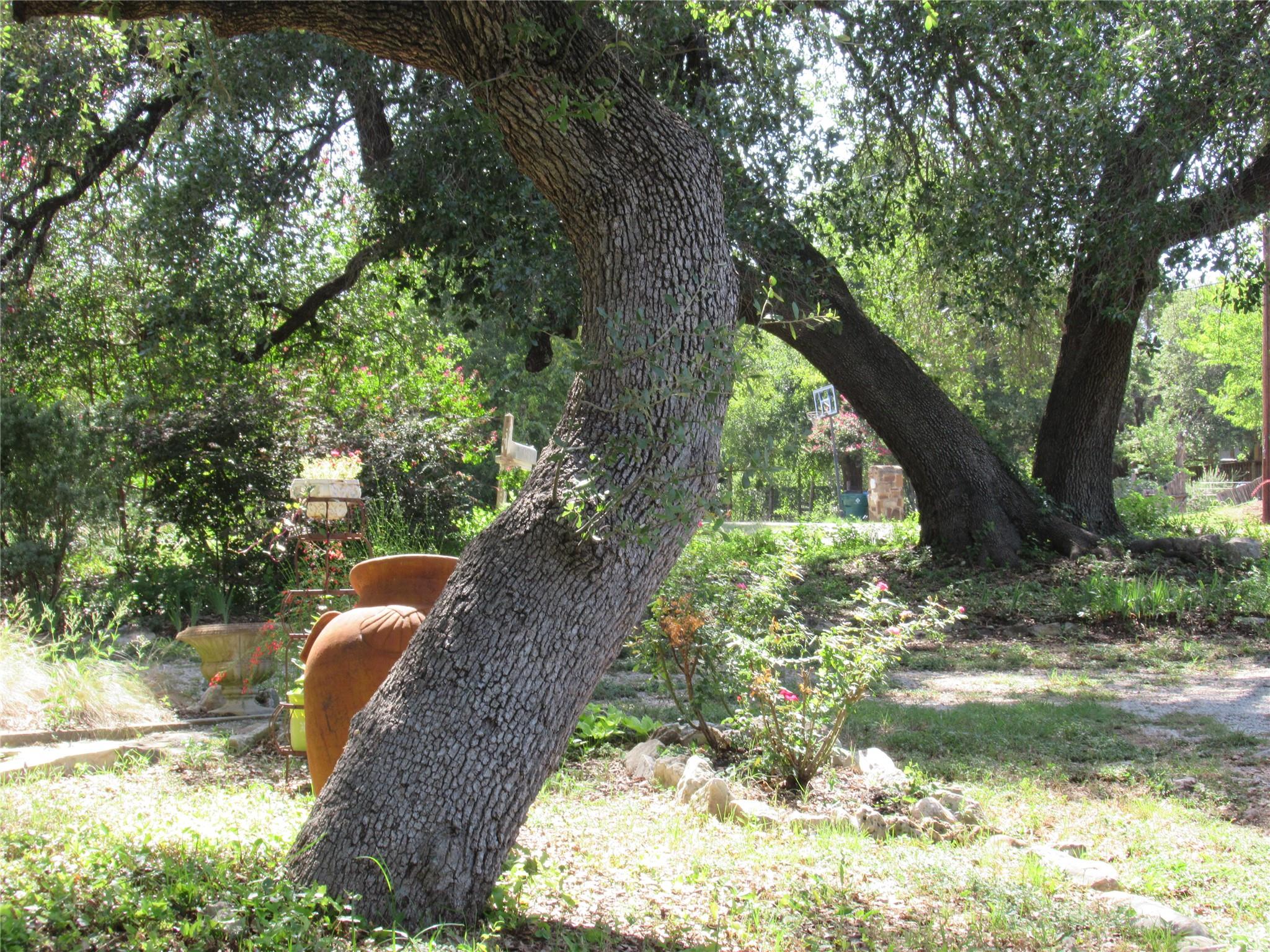 17801 Lafayette Park Rd, Jonestown, TX 78645