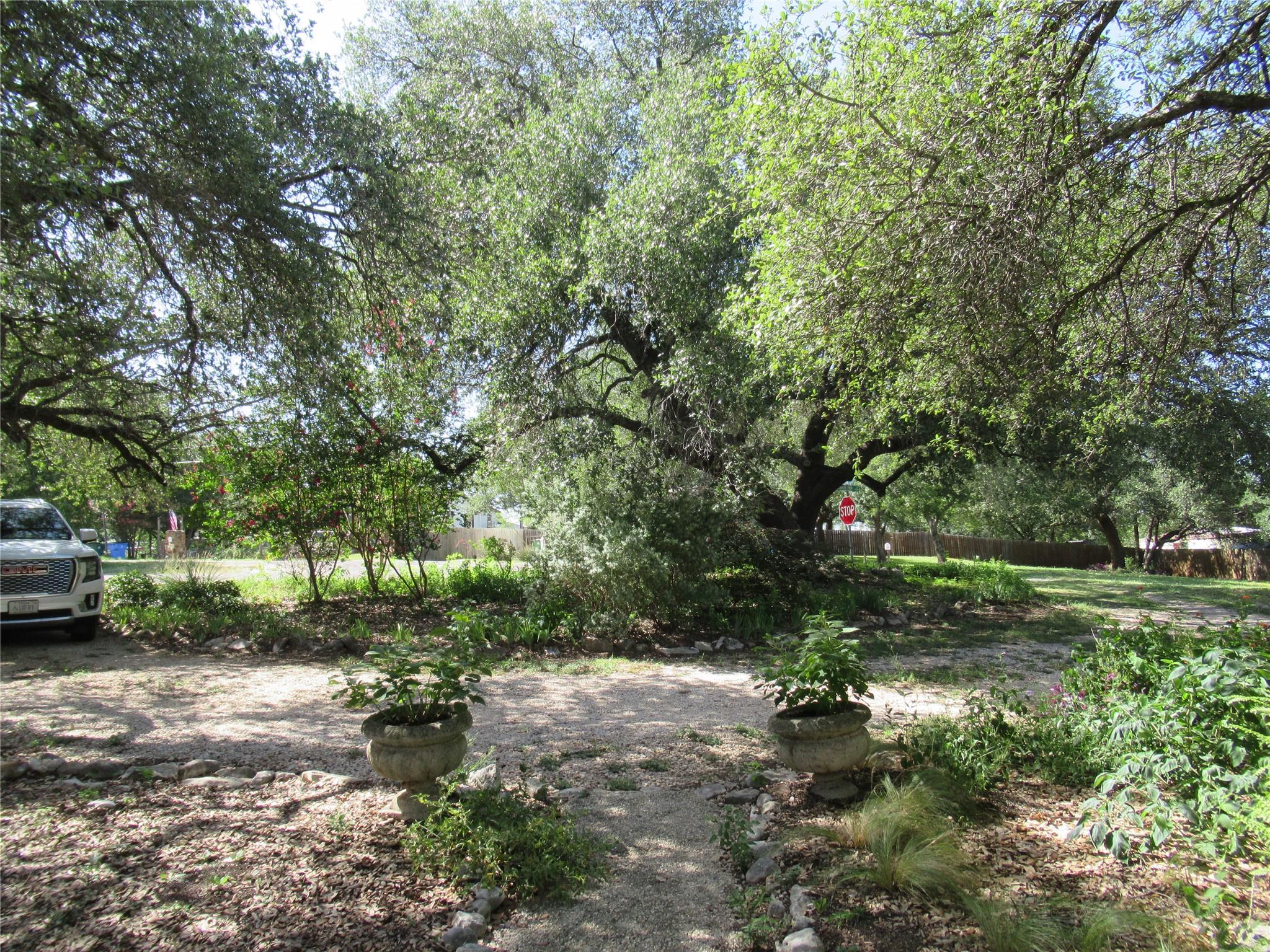17801 Lafayette Park Rd, Jonestown, TX 78645