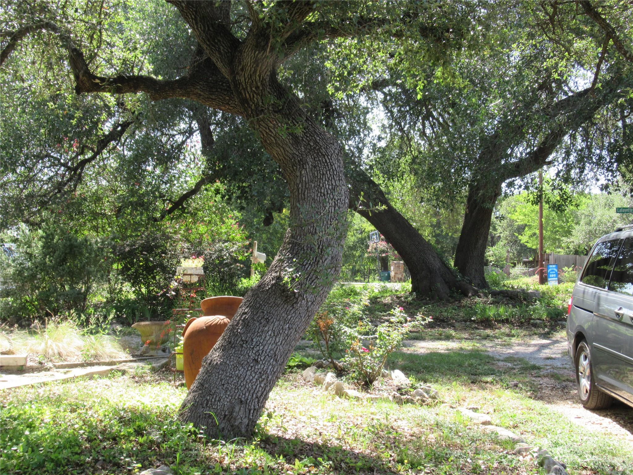 17801 Lafayette Park Rd, Jonestown, TX 78645