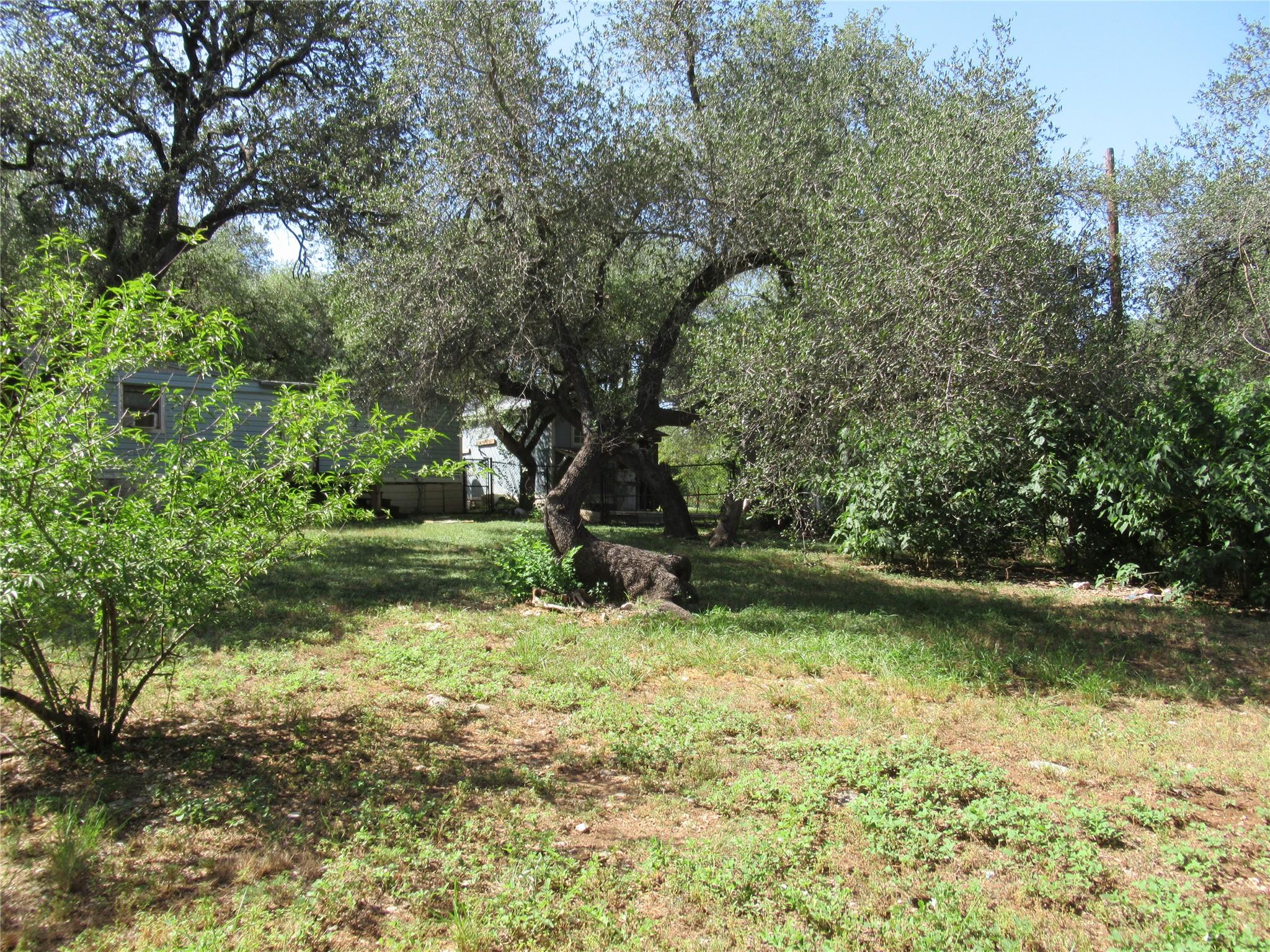 17801 Lafayette Park Rd, Jonestown, TX 78645