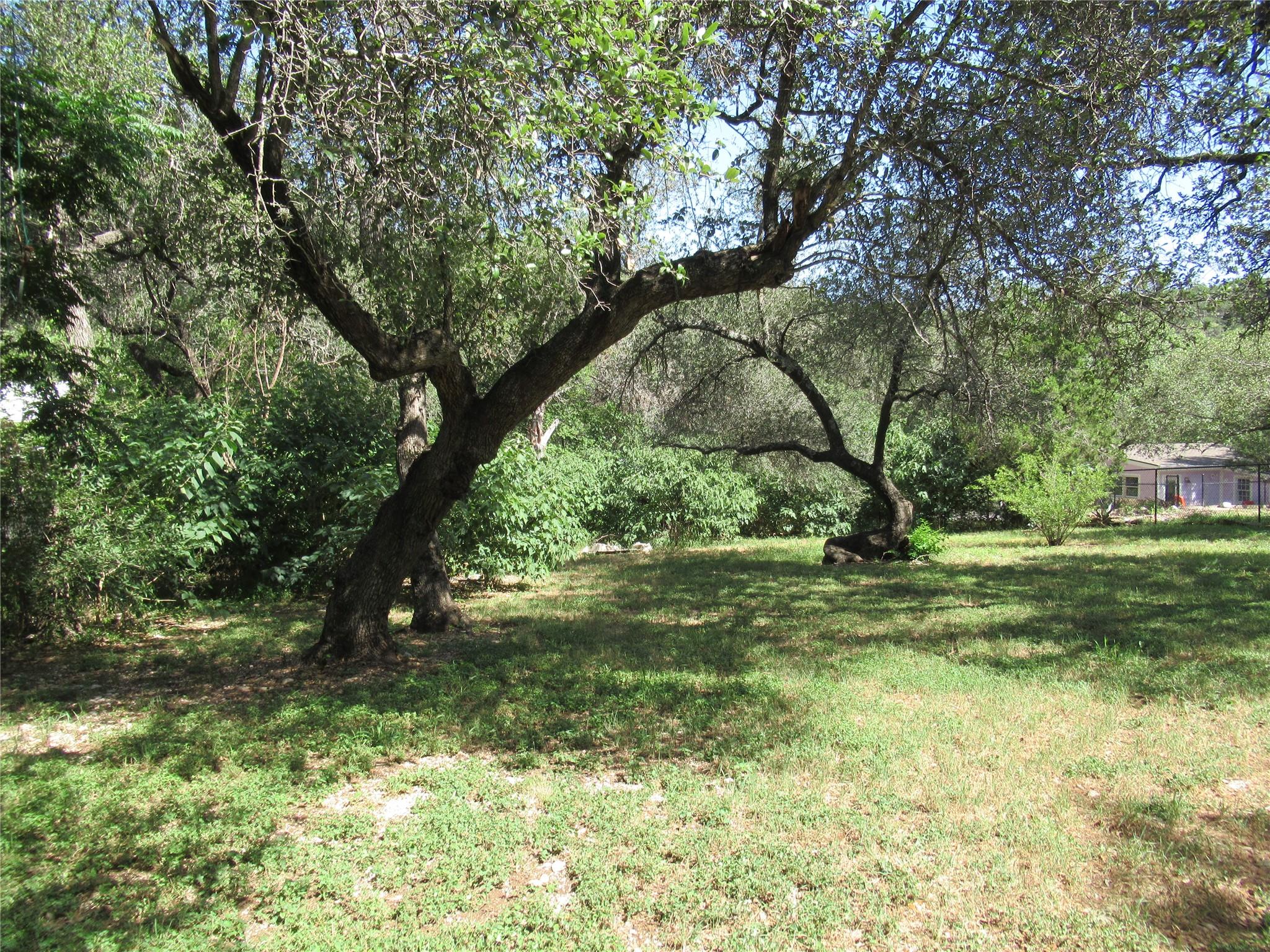 17801 Lafayette Park Rd, Jonestown, TX 78645