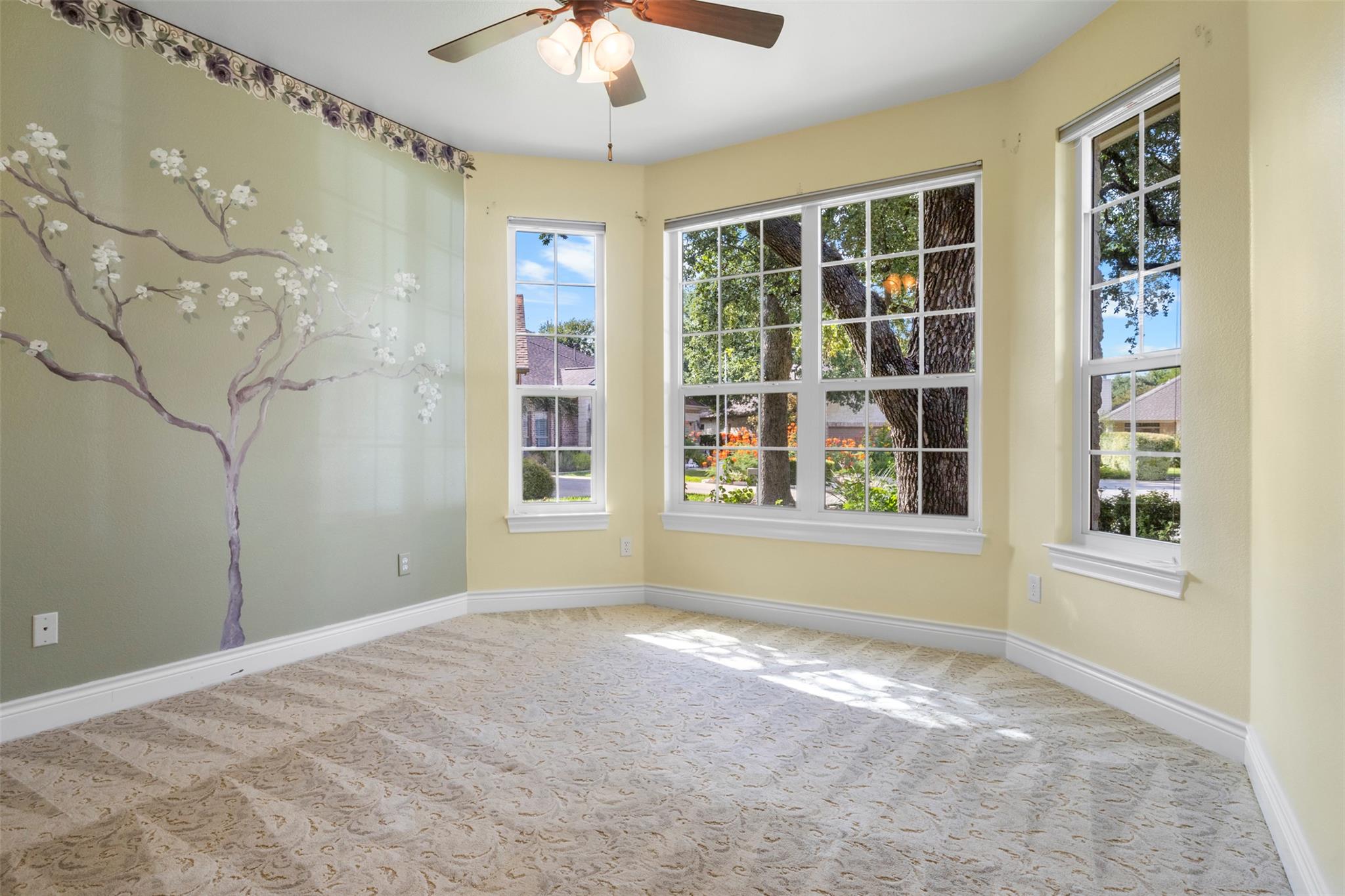 806 Boquilla Trl, Georgetown, TX 78633