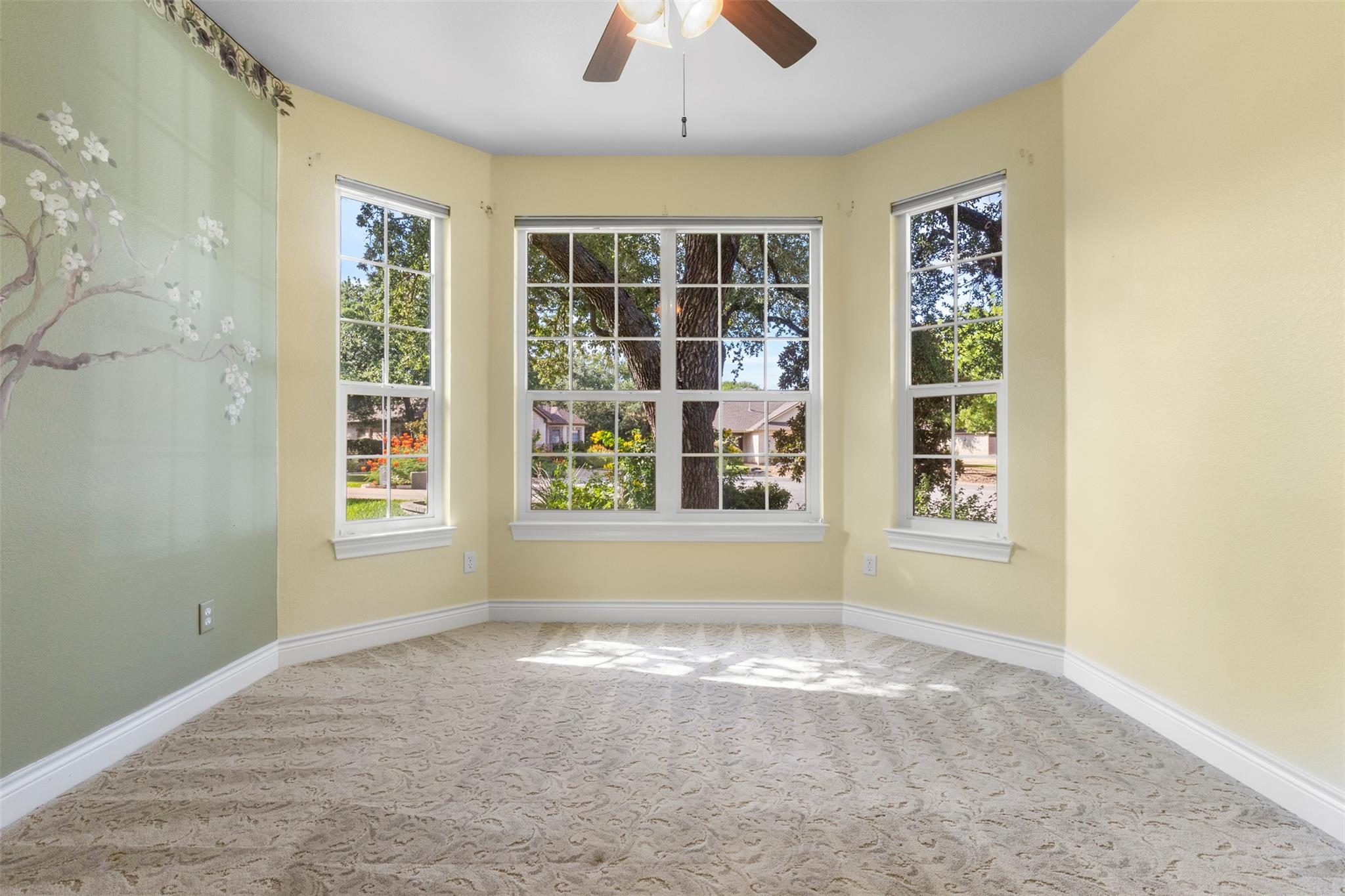 806 Boquilla Trl, Georgetown, TX 78633