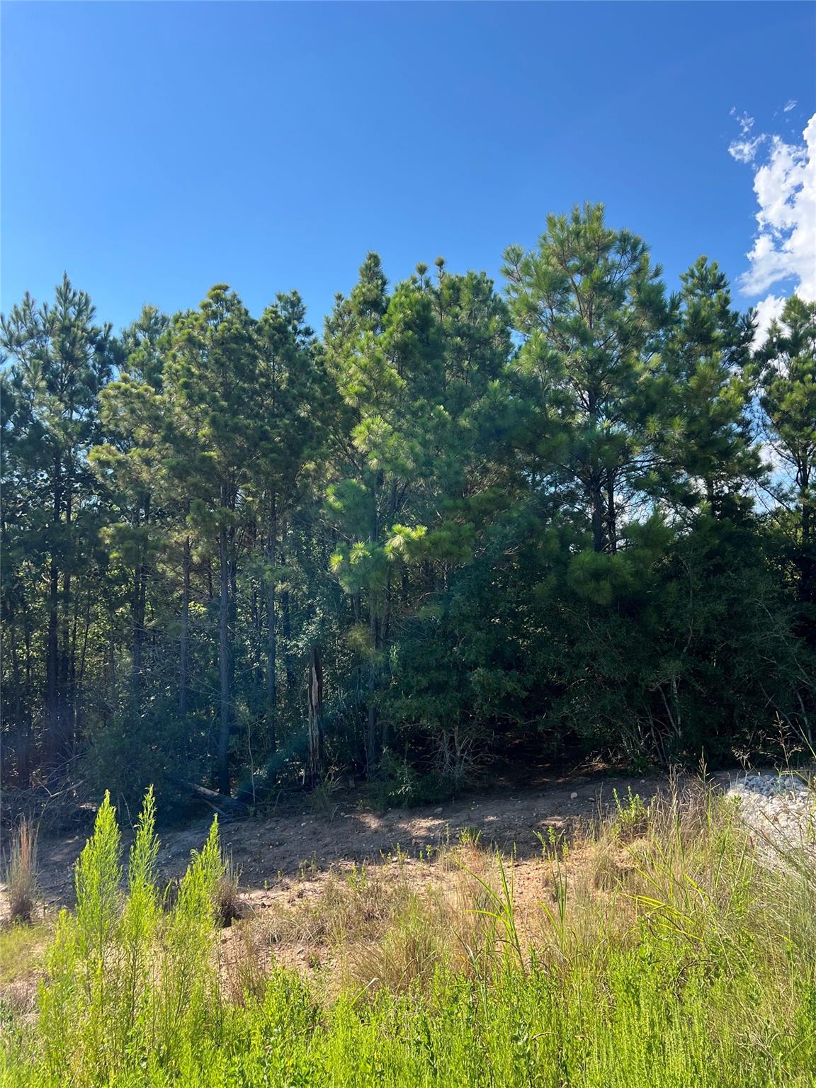 TBD Poi Ct, Bastrop, TX 78602