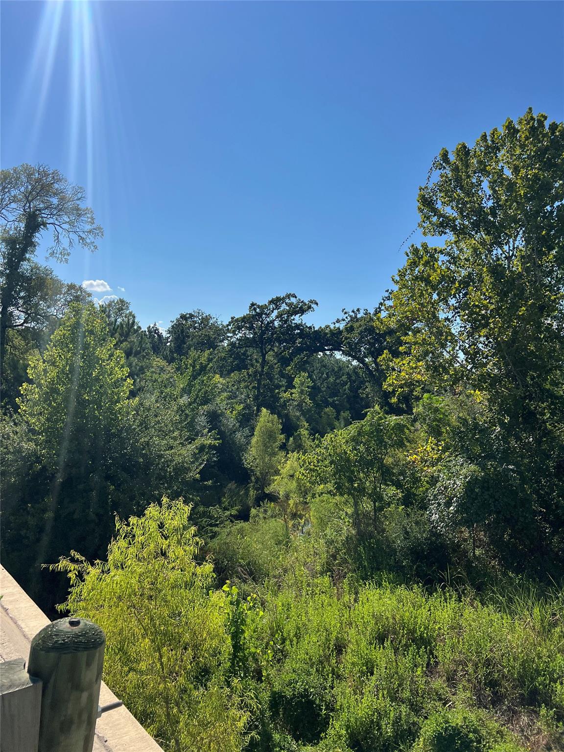 TBD Poi Ct, Bastrop, TX 78602