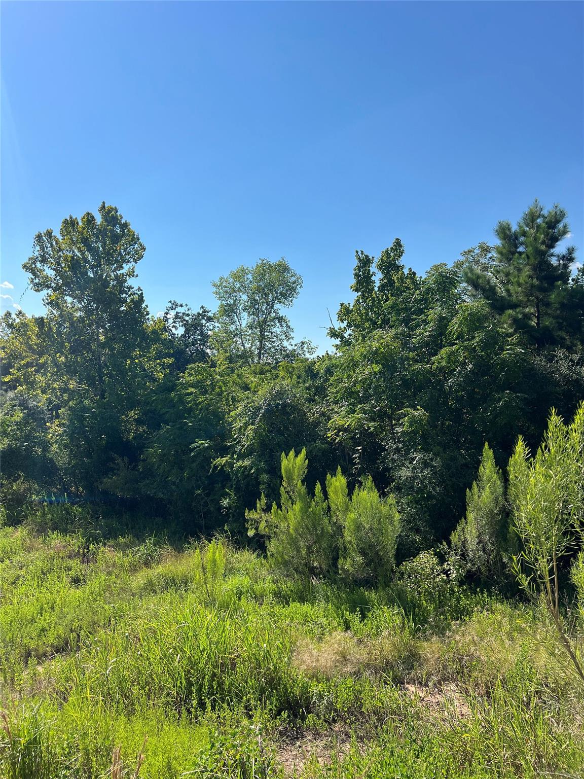 TBD Poi Ct, Bastrop, TX 78602