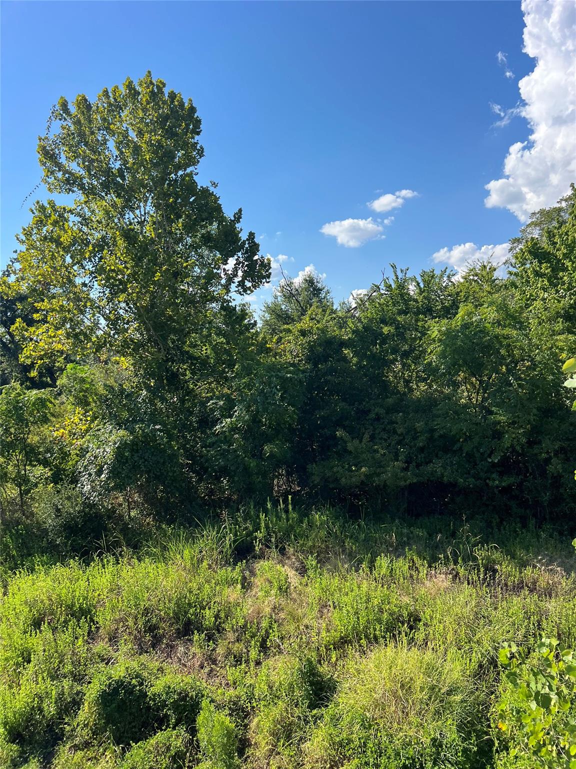 TBD Poi Ct, Bastrop, TX 78602