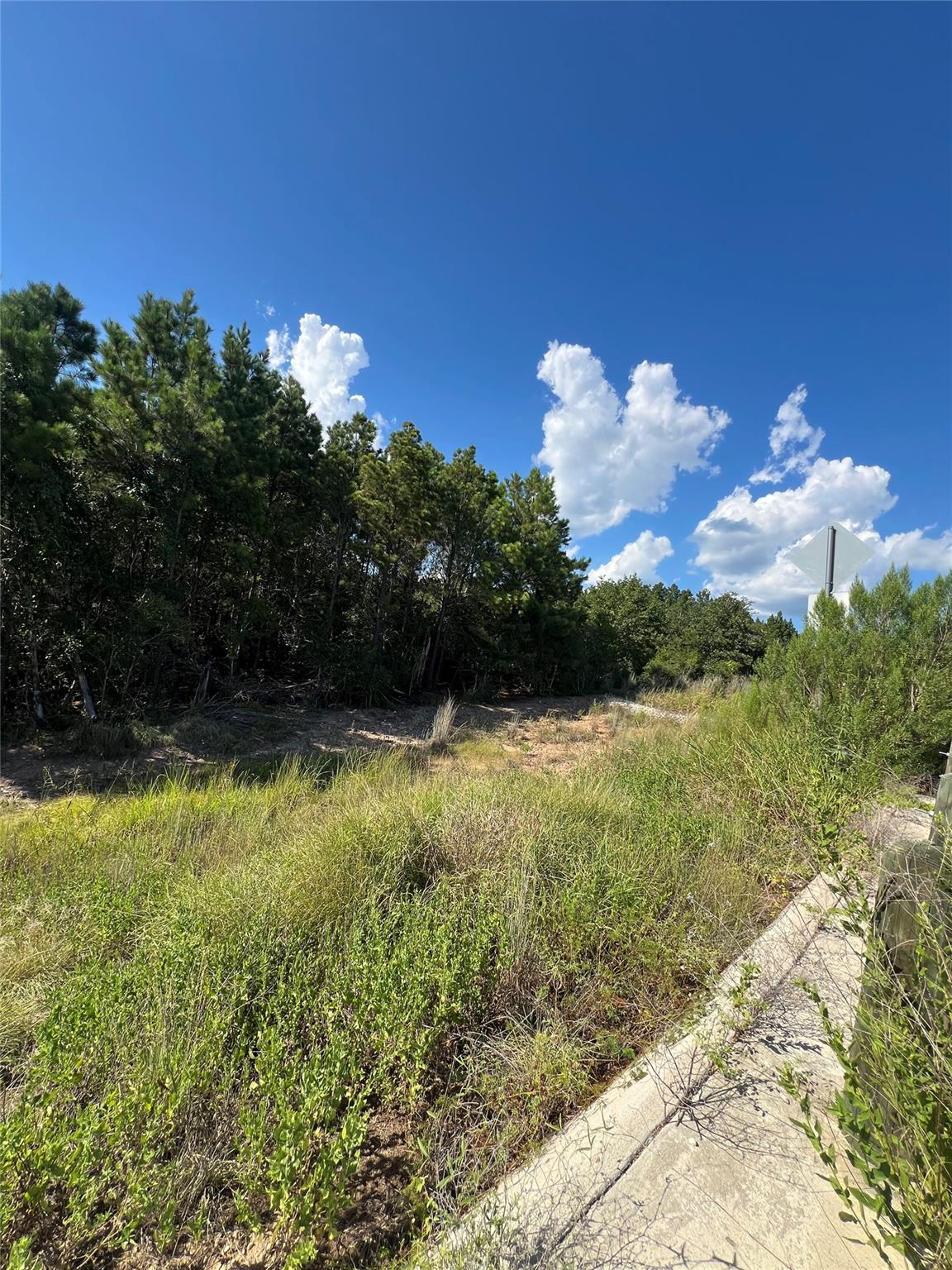 TBD Poi Ct, Bastrop, TX 78602