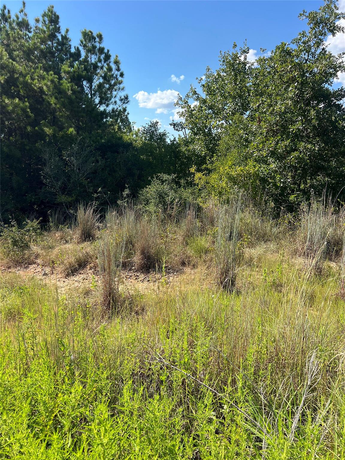 TBD Poi Ct, Bastrop, TX 78602