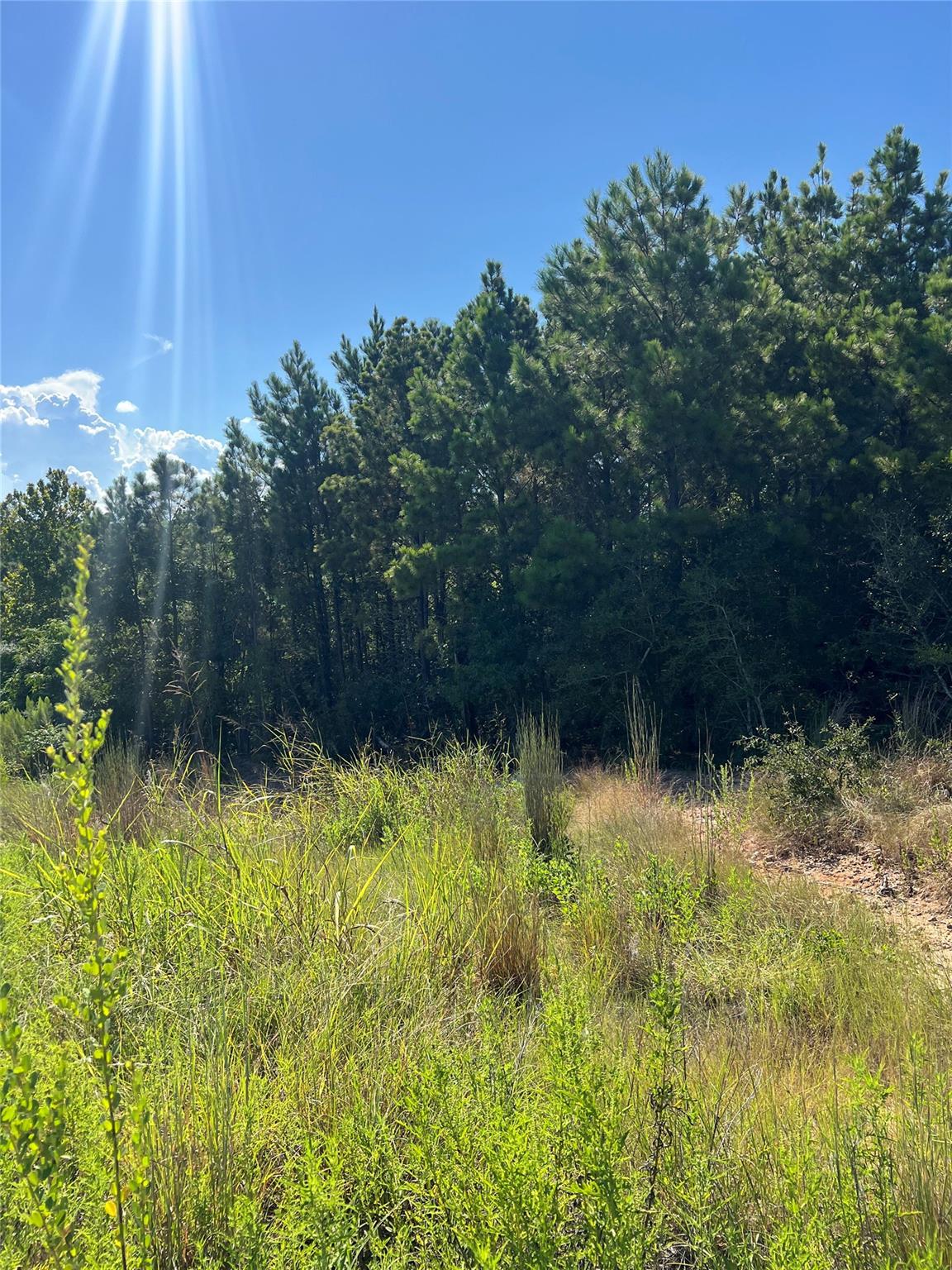 TBD Poi Ct, Bastrop, TX 78602