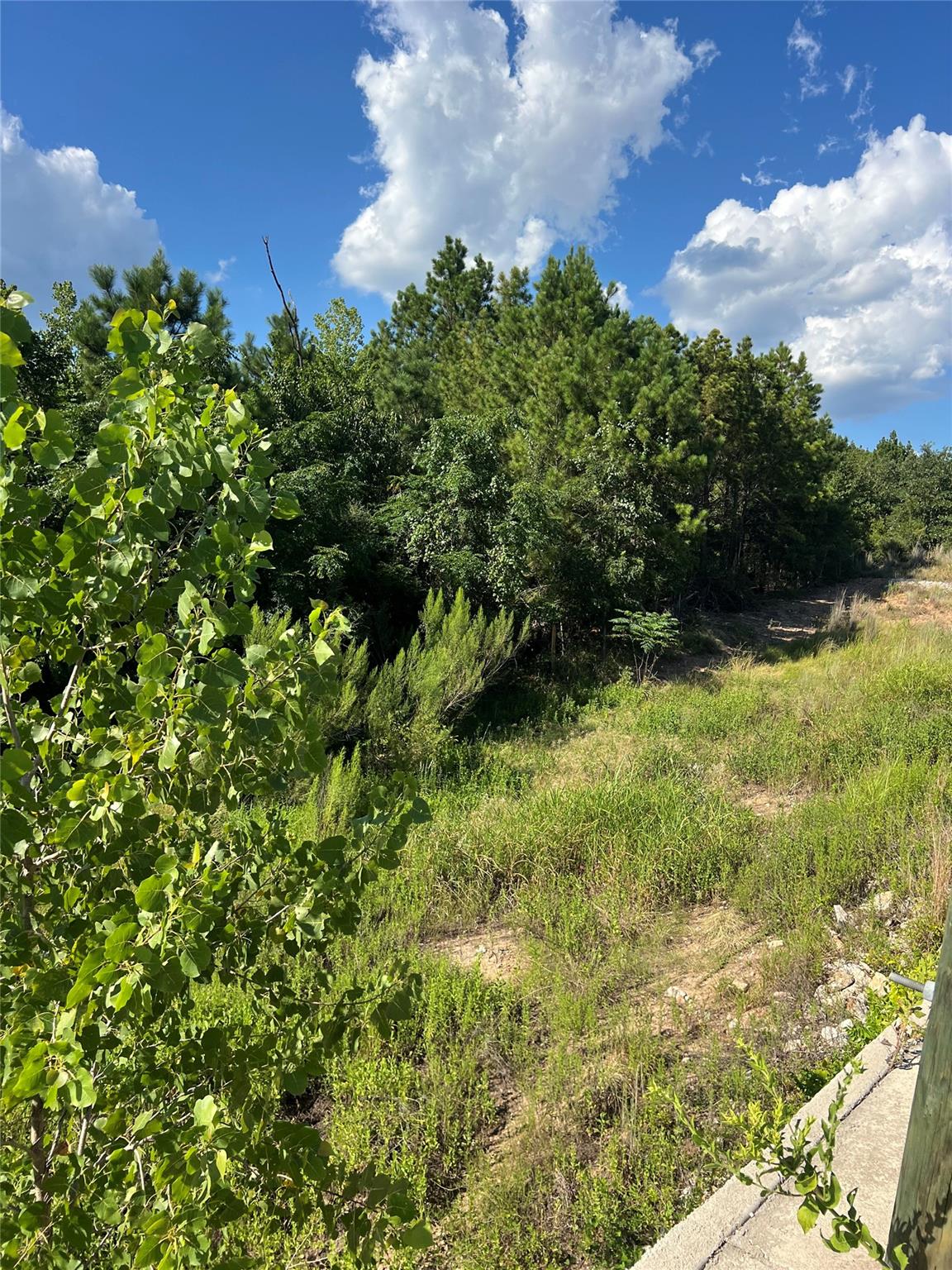 TBD Poi Ct, Bastrop, TX 78602