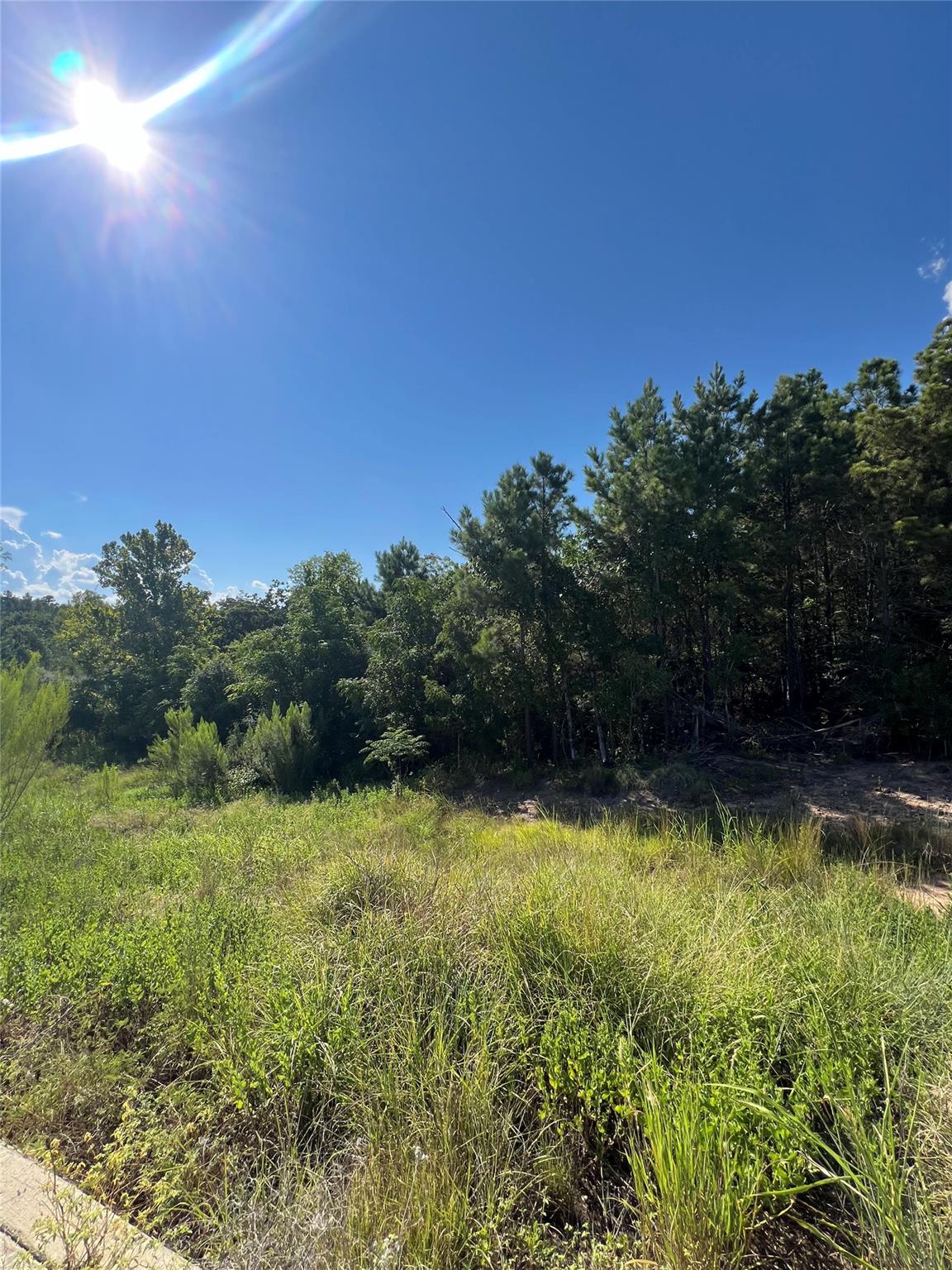 TBD Poi Ct, Bastrop, TX 78602