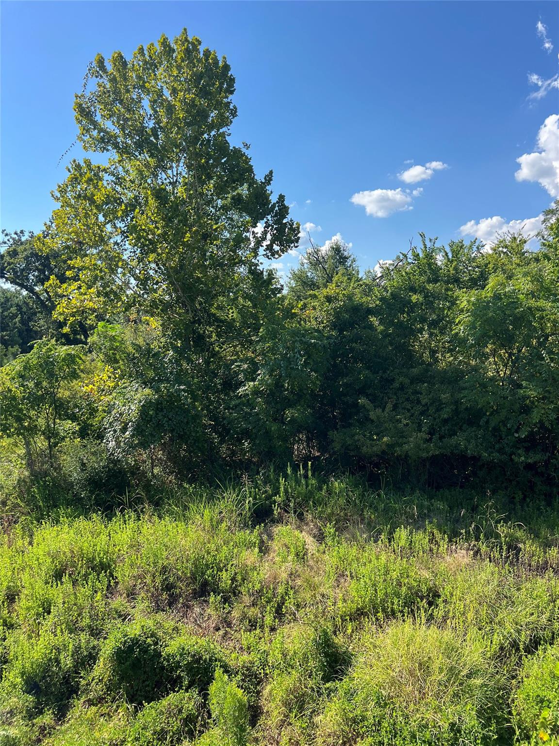 TBD Poi Ct, Bastrop, TX 78602