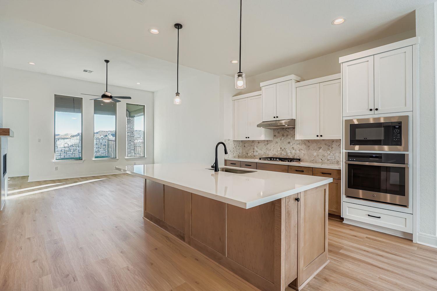 176 Prickly Poppy Loop, Kyle, TX 78640