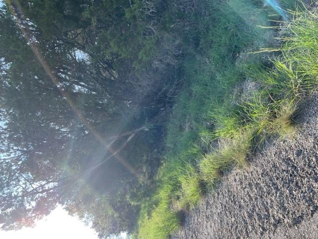 Lot K8023 Dew Drop, Horseshoe Bay, TX 78657