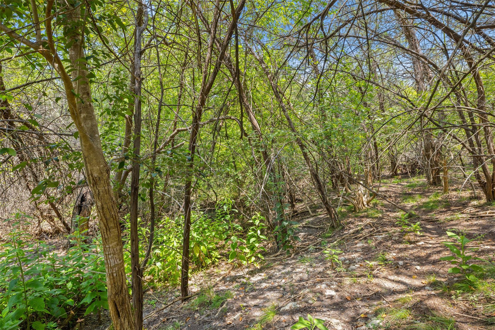 1810 Miami Dr, Austin, TX 78733