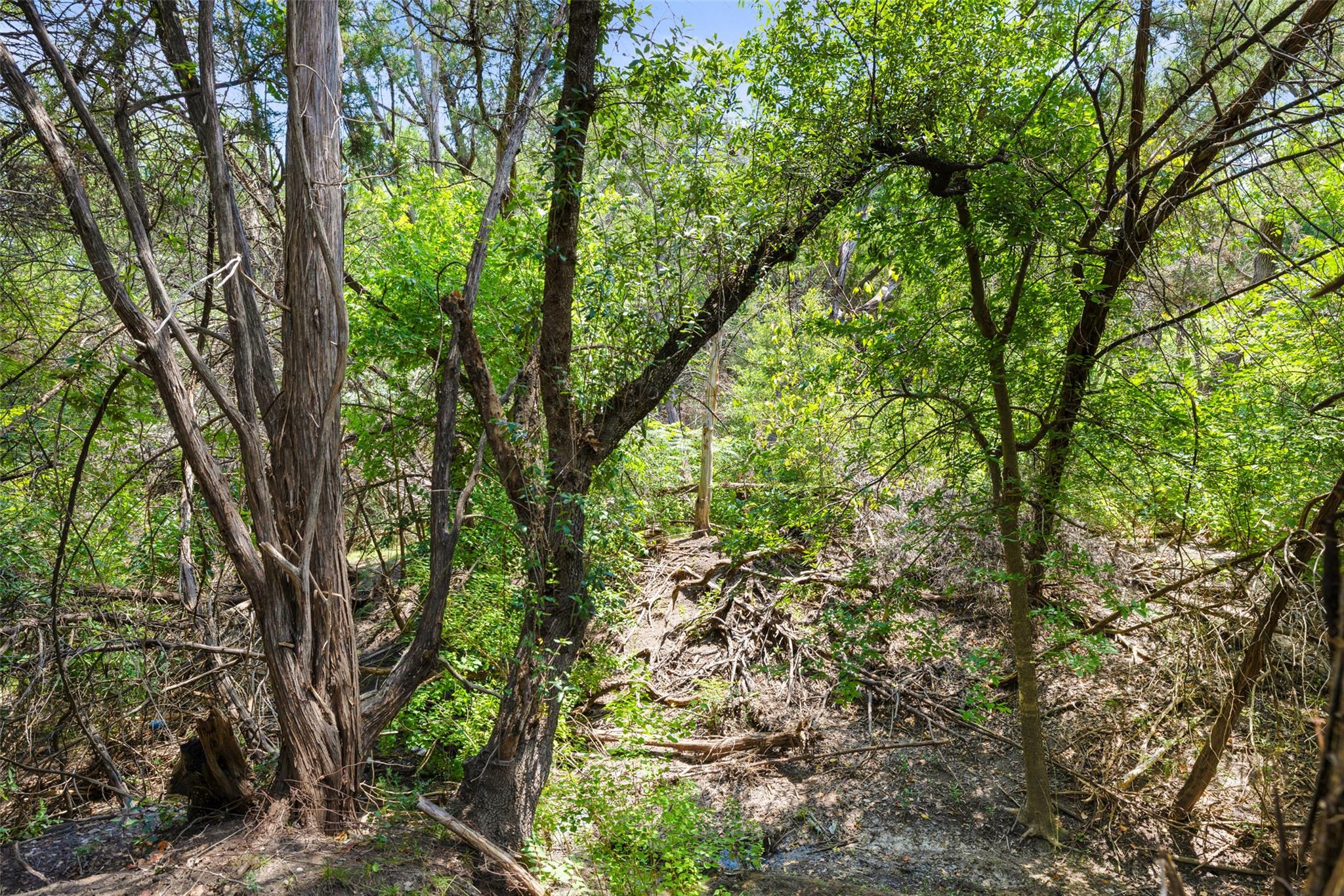 1810 Miami Dr, Austin, TX 78733