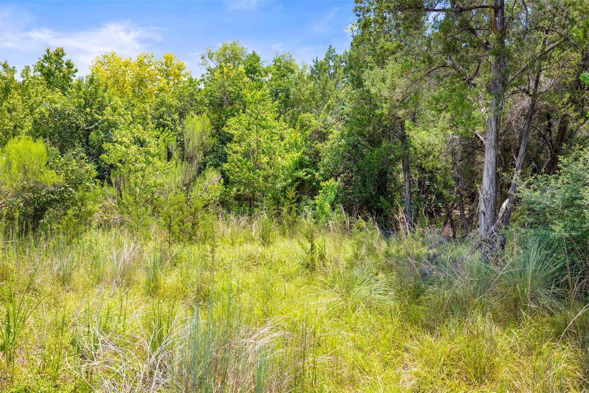 1810 Miami Dr, Austin, TX 78733