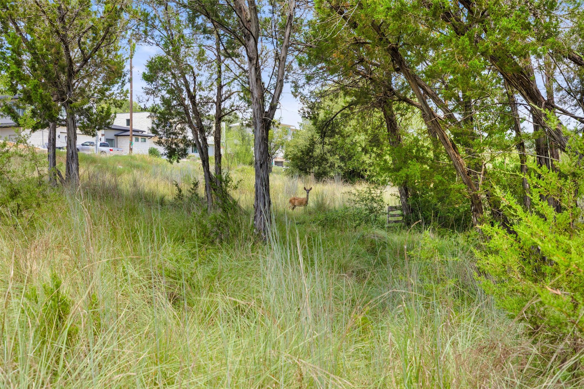 1810 Miami Dr, Austin, TX 78733