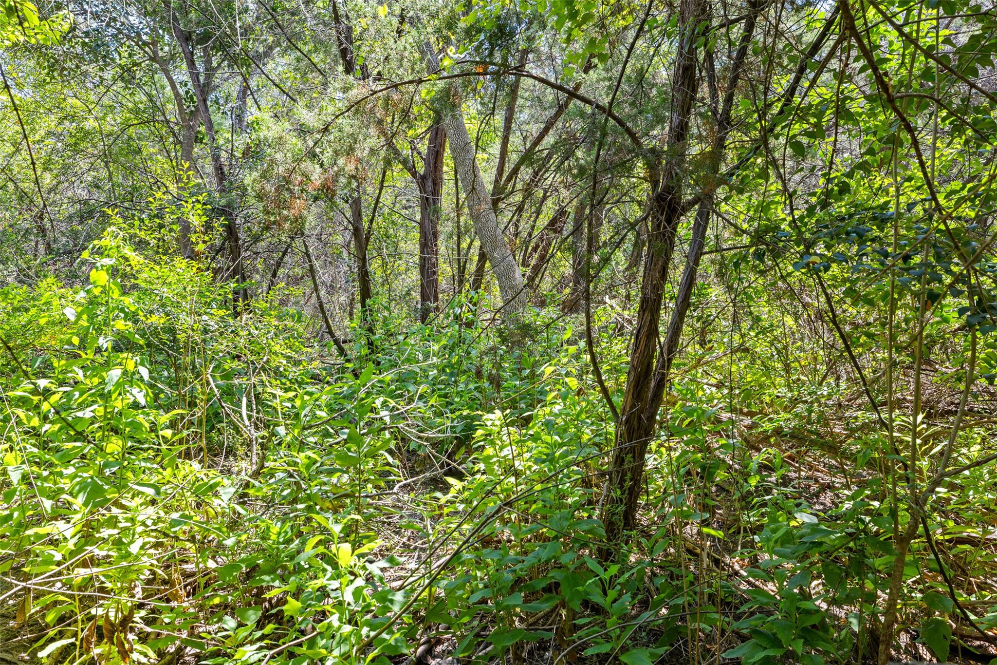 1812 Miami Dr, Austin, TX 78733