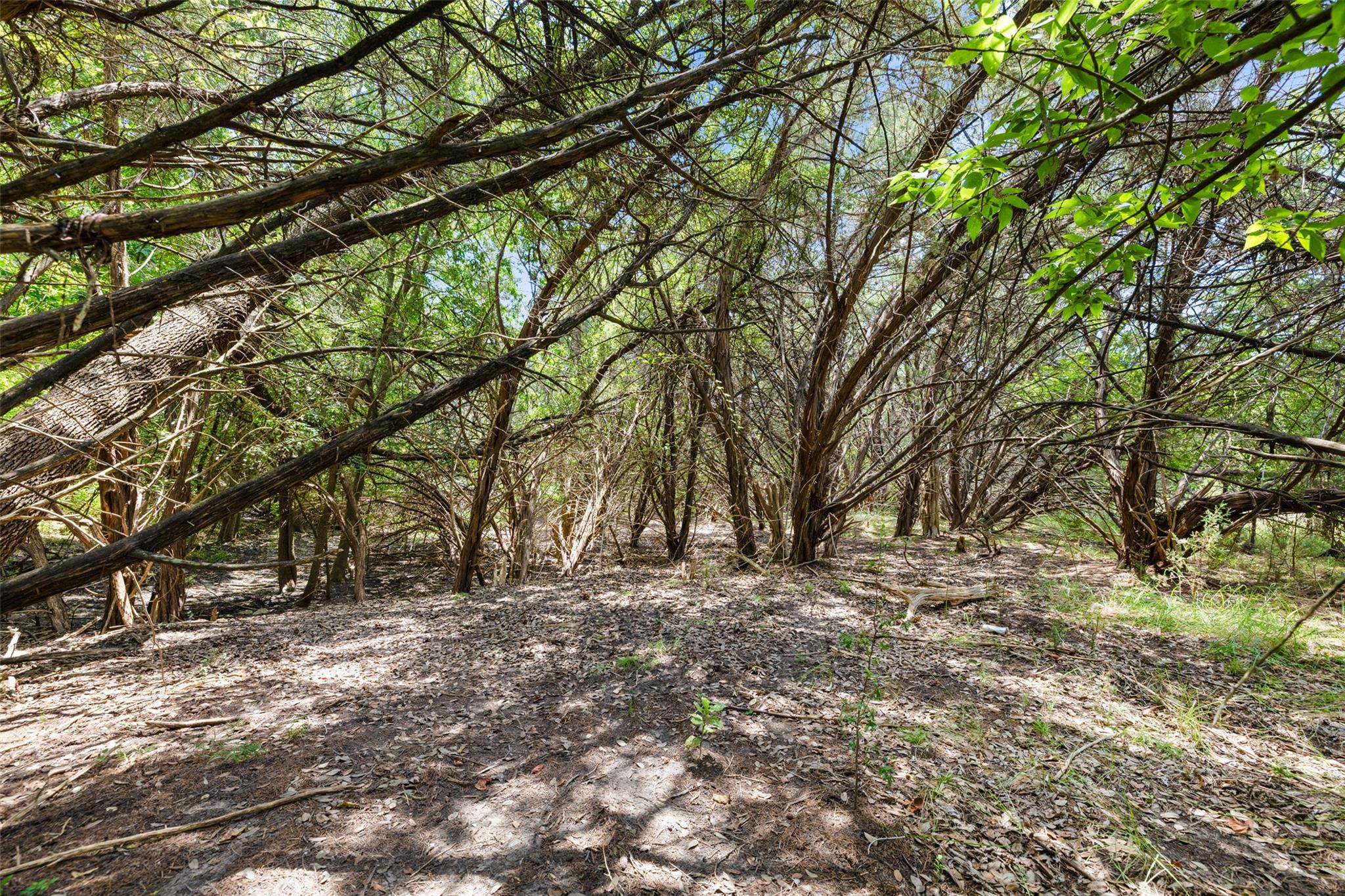 1812 Miami Dr, Austin, TX 78733