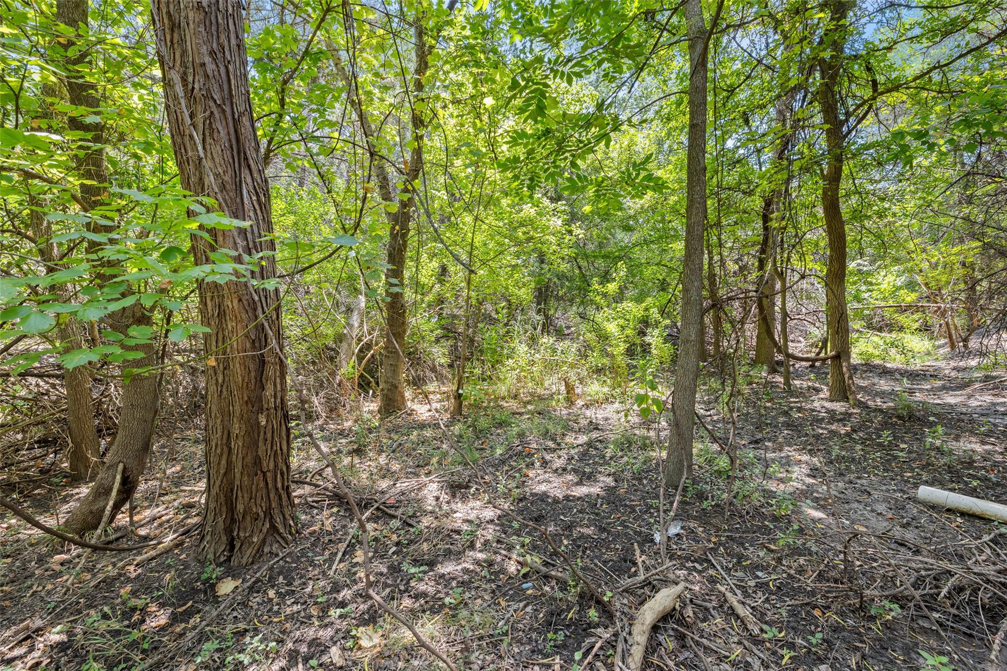 1812 Miami Dr, Austin, TX 78733