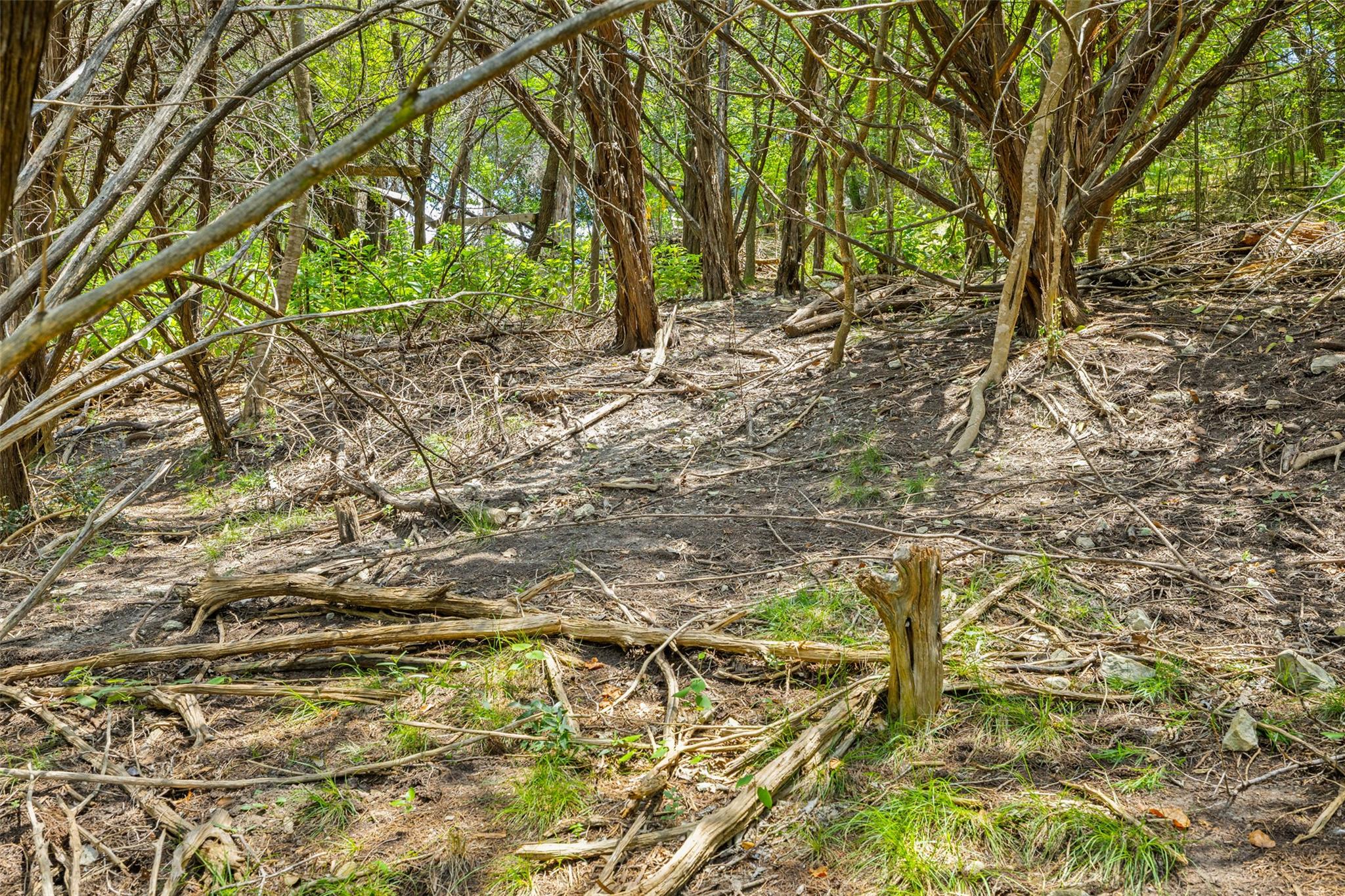 1812 Miami Dr, Austin, TX 78733