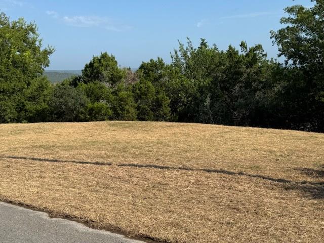 20811 Leaning Oak Dr, Lago Vista, TX 78645