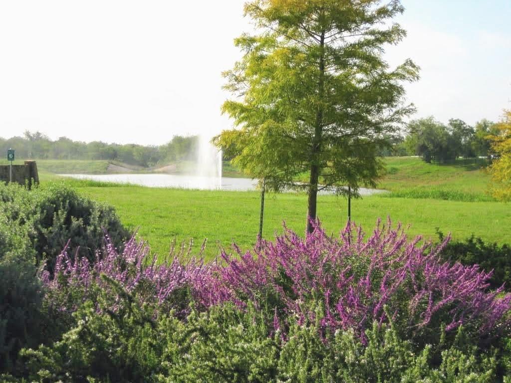 126 Preston Trl, San Marcos, TX 78666