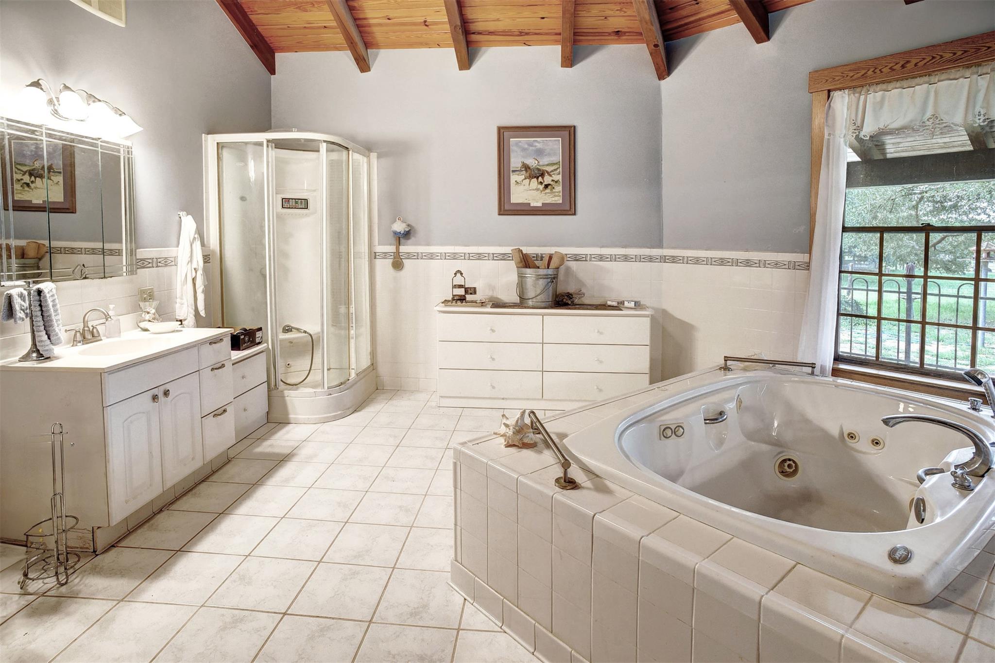 777 Cardinal Dr, Paige, TX 78659