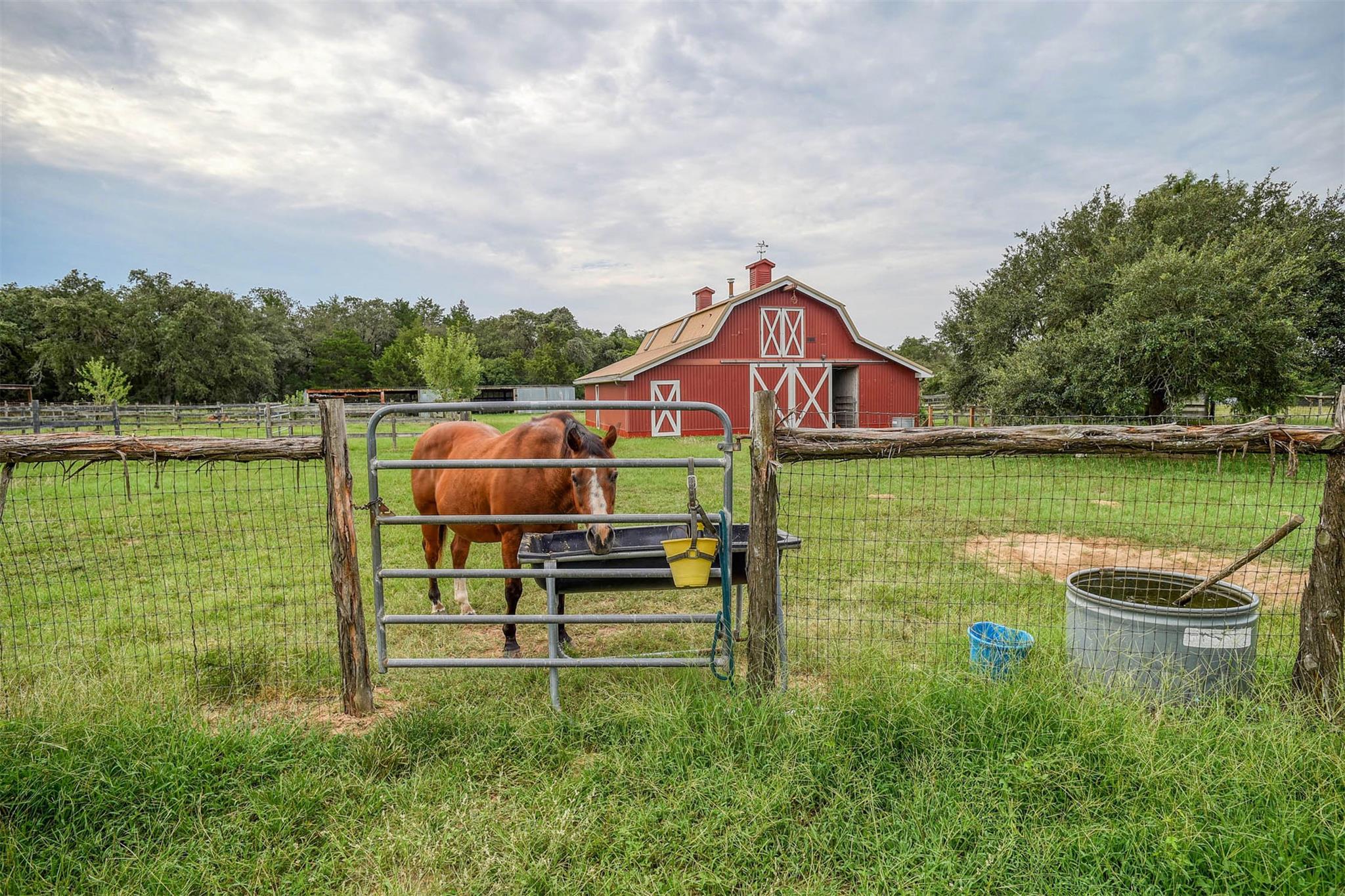 777 Cardinal Dr, Paige, TX 78659