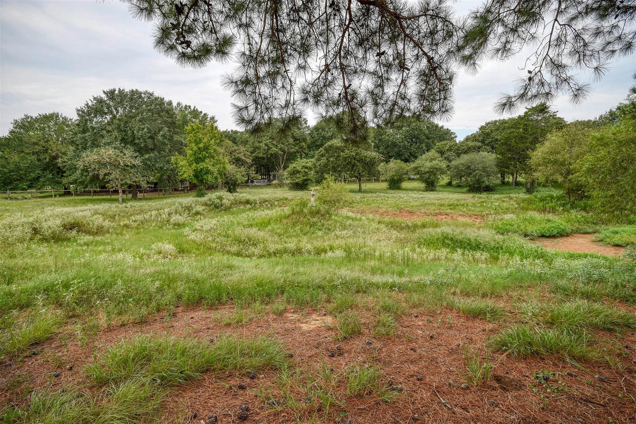 777 Cardinal Dr, Paige, TX 78659