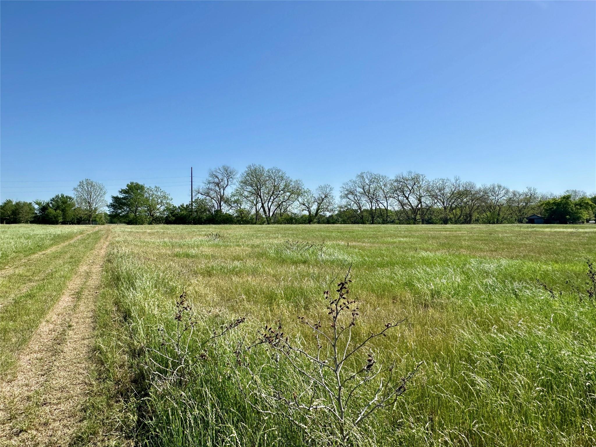 276 FM 2571, Smithville, TX 78957